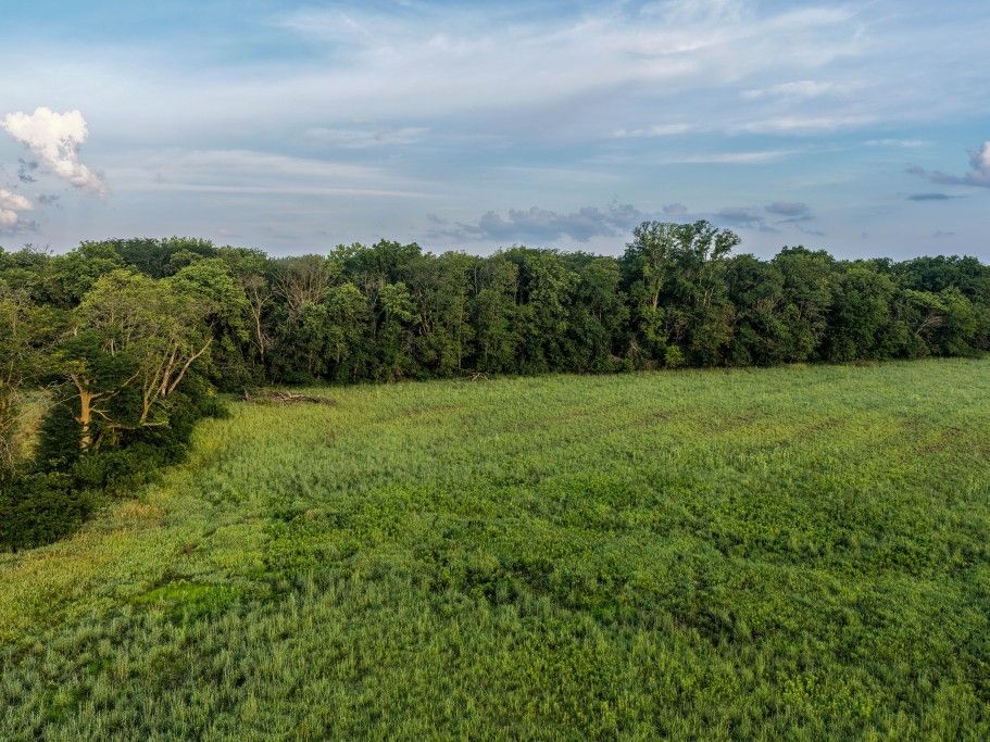 Listing #19560